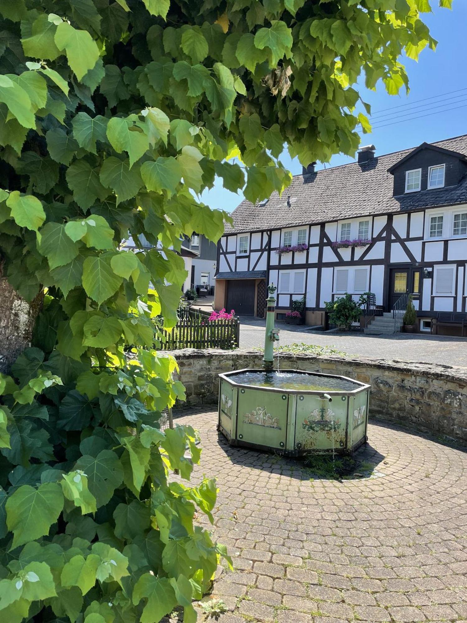 Gittas Paradiesperle Niederdreisbach Exterior photo
